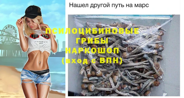 сатива Армянск