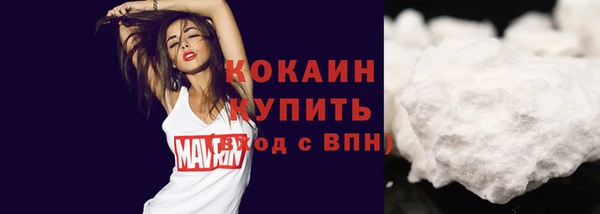 сатива Армянск