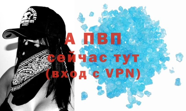 сатива Армянск