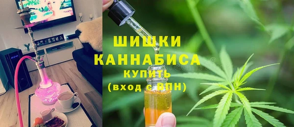 сатива Армянск