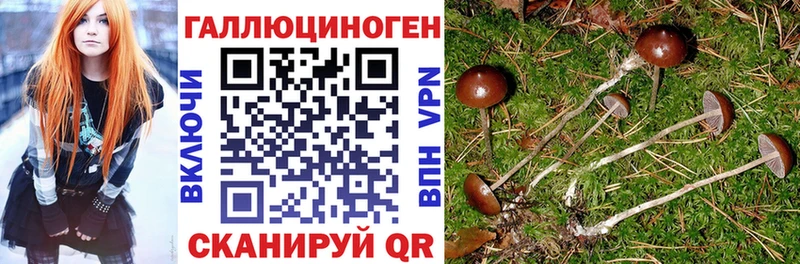 Галлюциногенные грибы Psilocybe  мега как войти  Усинск 